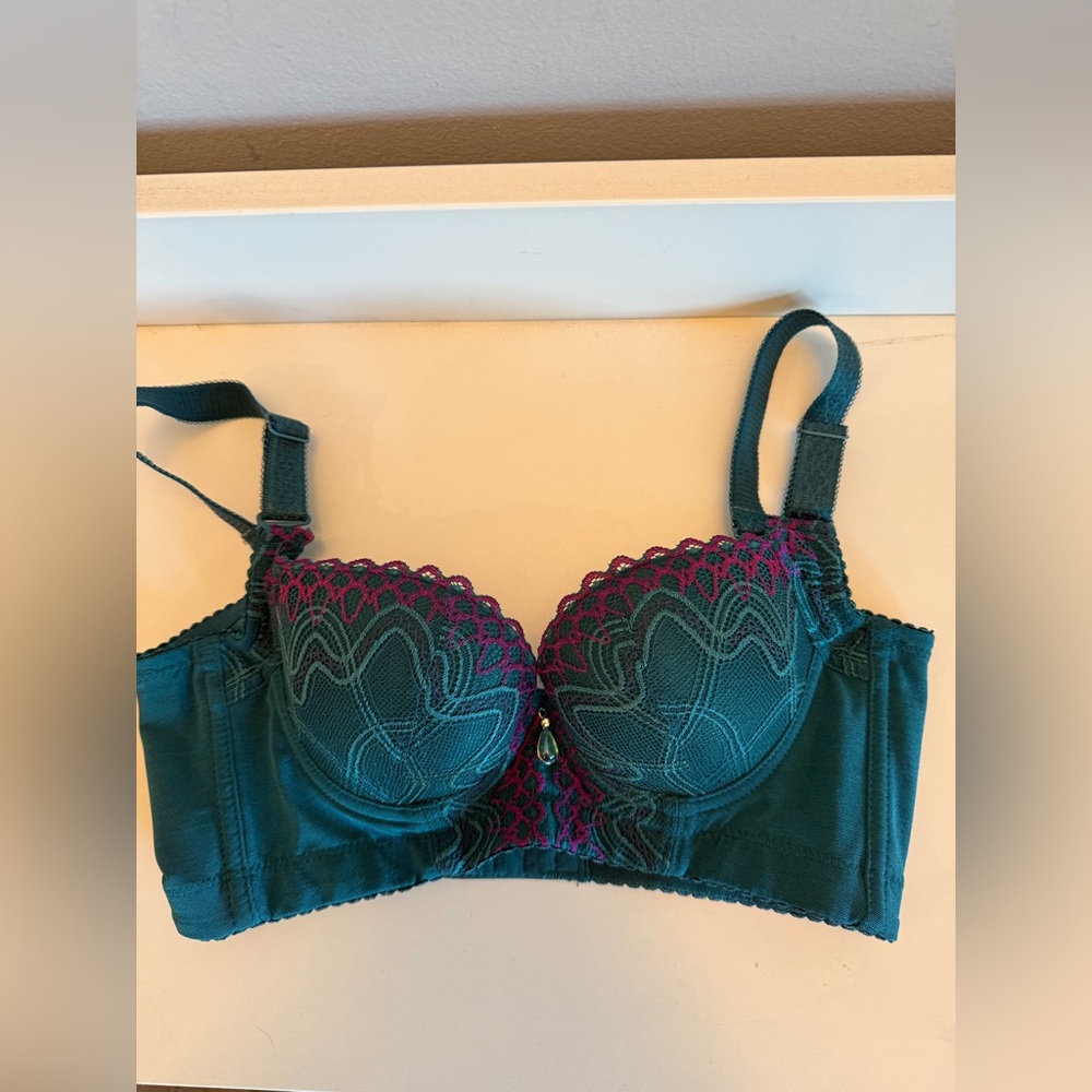 Elegant Teal and Magenta Lace Bra‎ nwt 32A